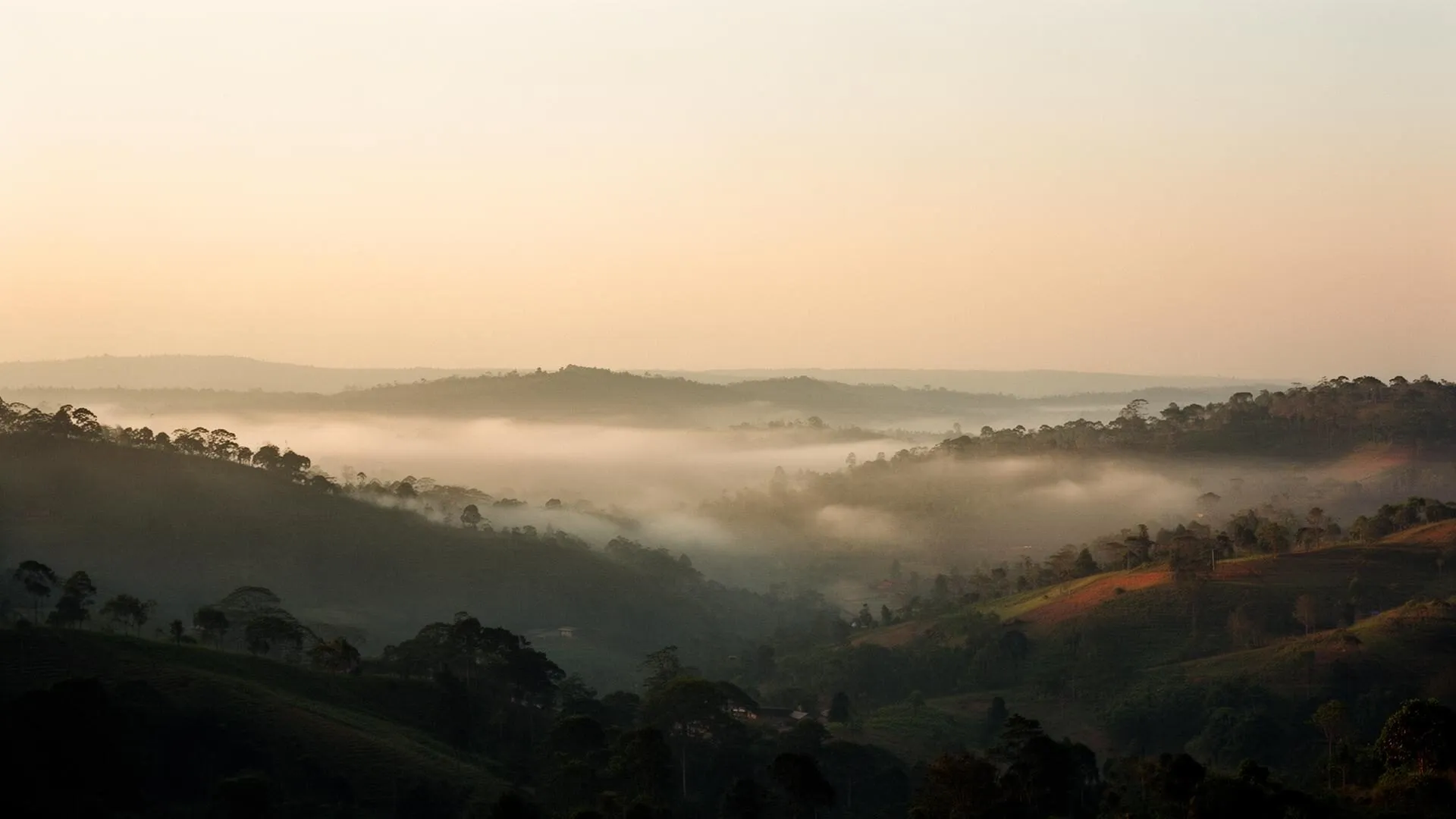 Misty rolling hills of Rwanda at golden hour